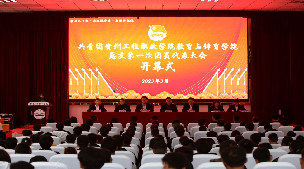 共青团半岛平台中国官方网站教育与体育学院总支部委员会召开第一次团员代表大会(图1)